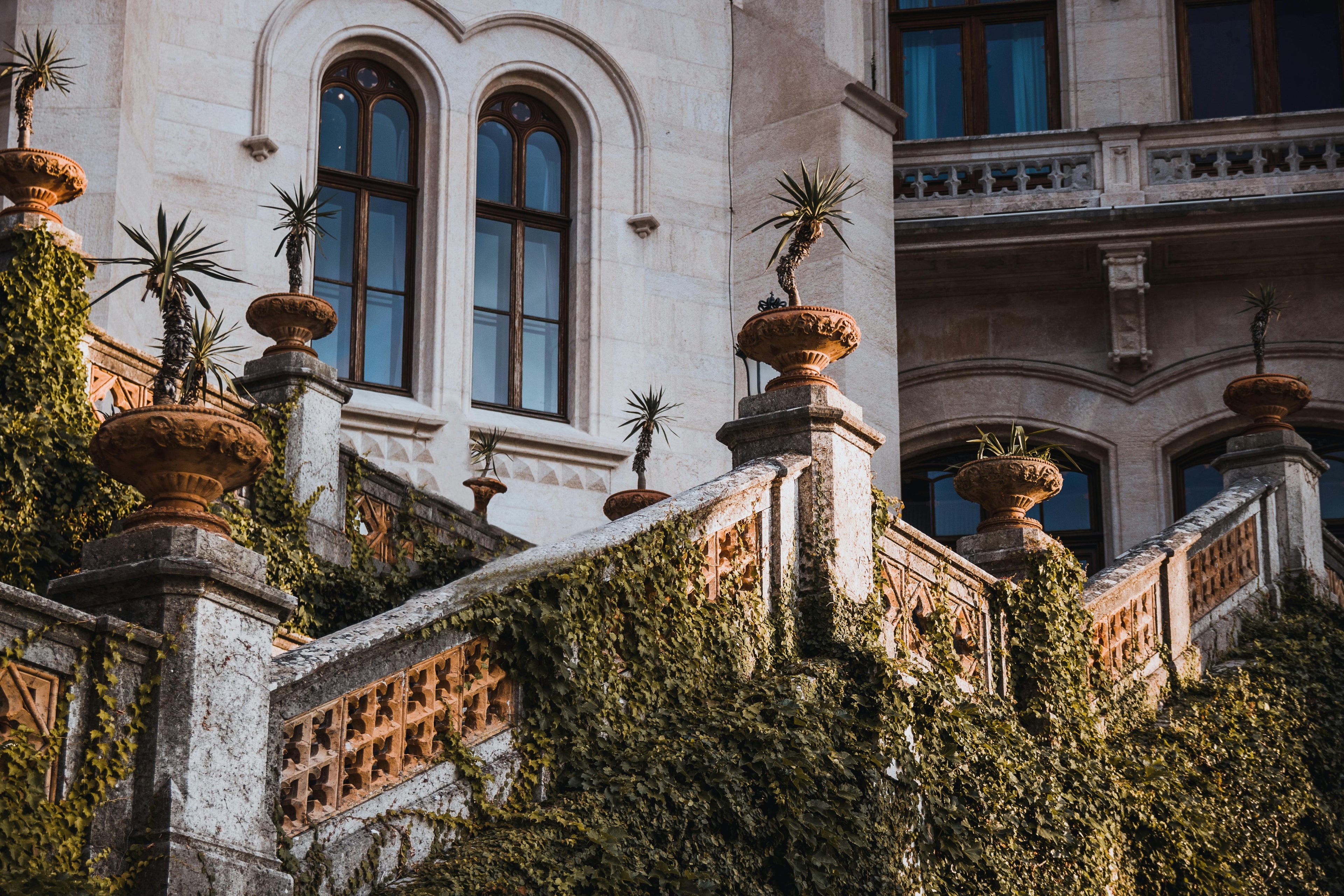 An illustrative image of a Mediterranean house to capture the essence of LE BYROM’s style.